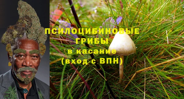 героин Алексин