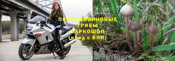 марихуана Абаза