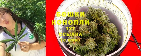 ГАЛЛЮЦИНОГЕННЫЕ ГРИБЫ Ельня
