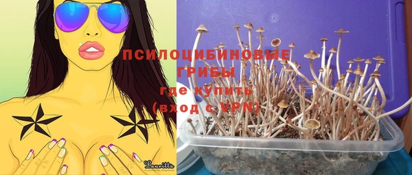 марихуана Абаза