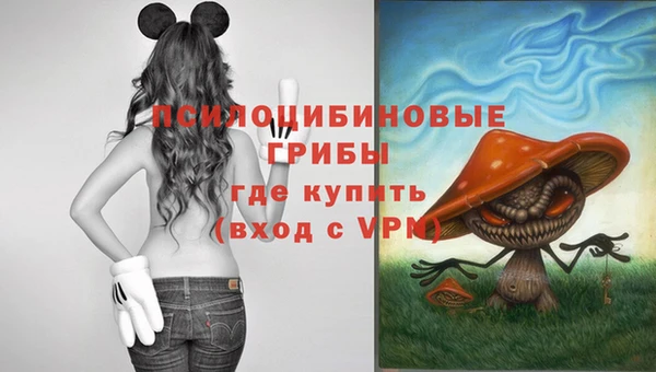 прущий лед Алзамай
